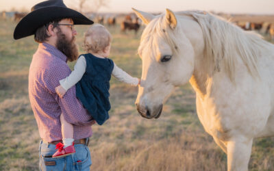 What makes a photo feel like home?