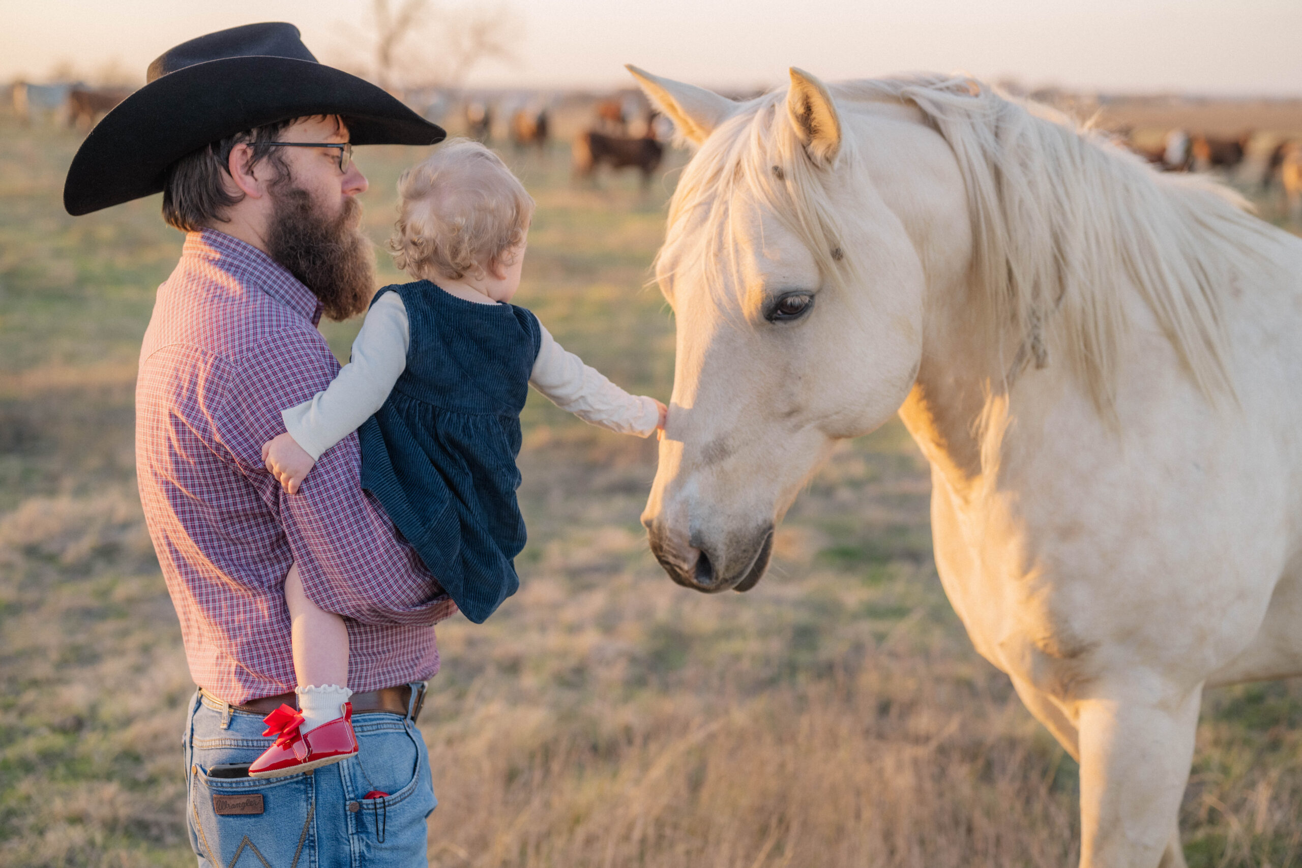 Father and young daughter petting their horse in a Texas pasture at sunset, captured in soft natural light