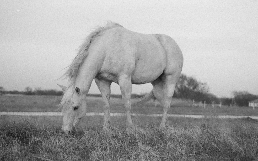 What It Took to Launch Morgan Vickery Photography